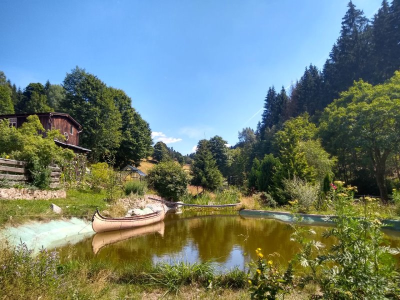 Teich Teich